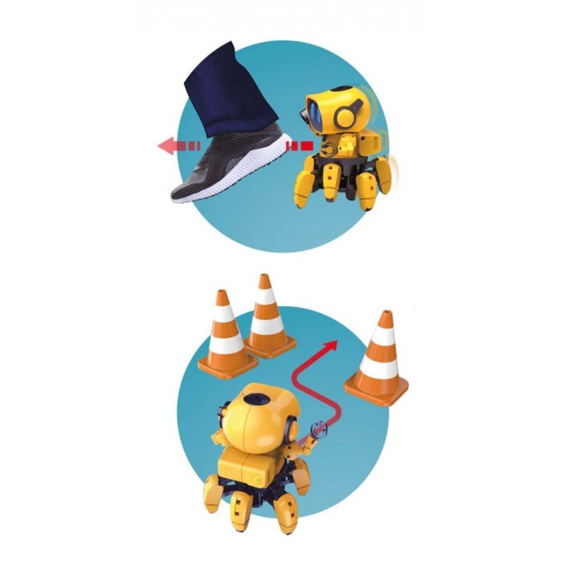 Robot Tibo BUKI France