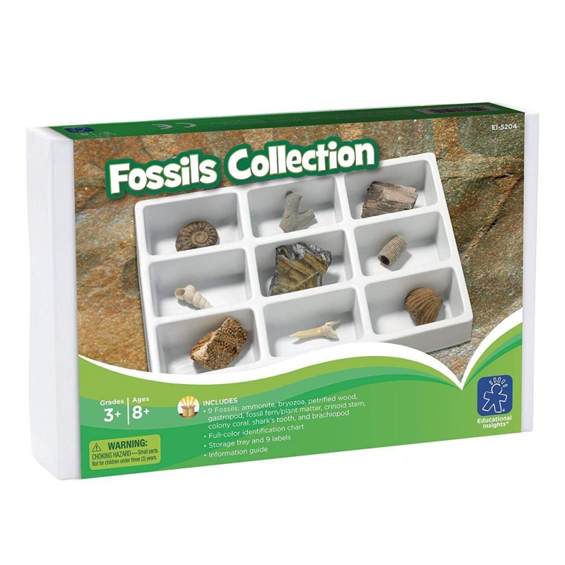 Fosile Kit paleontologie Educational Insights