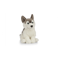 Catelus de plus Husky Keycraft Catelus de plus Husky Keycraft