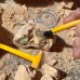 GeoSafari Kit excavare fosile Educational Insights