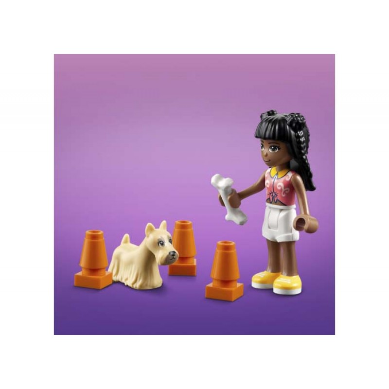 Centrul de Ingrijire a Animalelor LEGO Friends