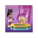 Centrul de Ingrijire a Animalelor LEGO Friends