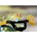 BABY born - Bicicleta cu lumini si claxon