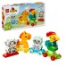 Tren cu animale LEGO DUPLO 10412