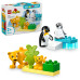 Familii de animale salbatice: Pinguini si lei 10442 LEGO DUPLO Familii de animale salbatice: Pinguini si lei 10442 LEGO DUPLO