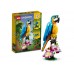 PAPAGAL EXOTIC LEGO Creator 31136