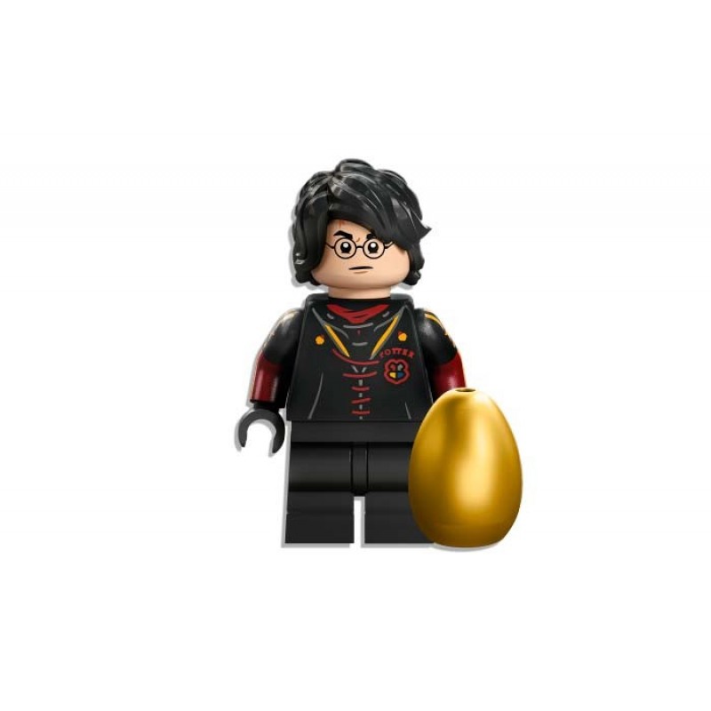 TINTATUL MAGHIAR LEGO Harry Potter 76406