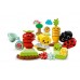 Gradina organica LEGO Duplo 10984